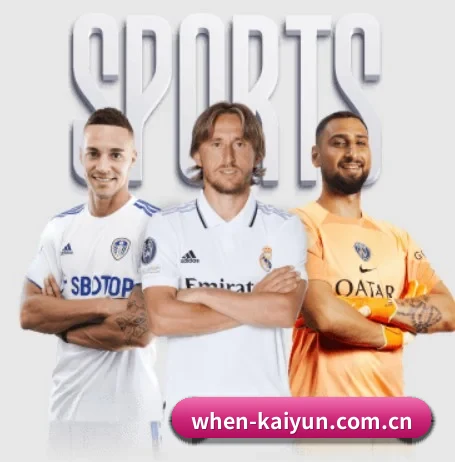 开云 APP 界面 | kaiyun